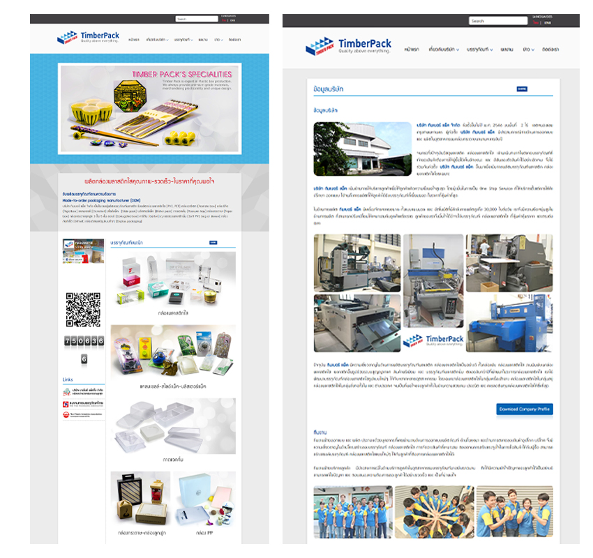รับทำเว็บไซต์โรงงานผลิตบรรจุภัณฑ์กล่องพลาสติก