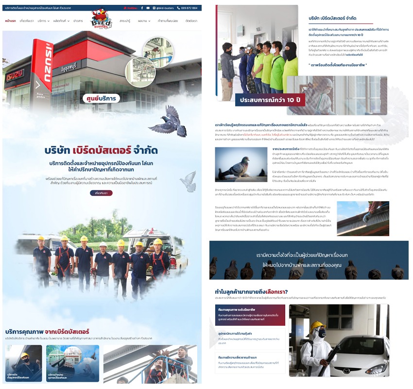 รับทำเว็บไซต์บริษัทให้บริการติดตั้งและจำหน่ายอุปกรณ์ป้องกันนก